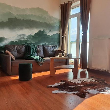 Apartman S Wellness Apartment Карлови Вари Екстериор снимка